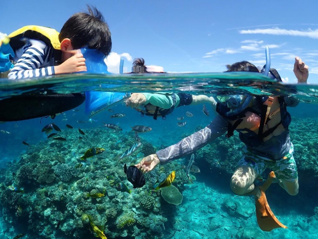 ウミガメと一緒に泳ごう！水納島でウミガメを見るにはツアーに参加がおすすめ！
