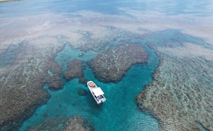 沖縄水納島（みんなしま）とはどんな島？アクセス・見どころ・人気アクティビティを完全ガイド