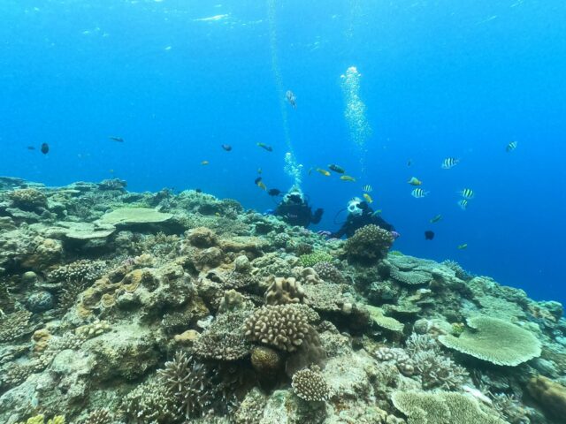 沖縄本島から約15分で行ける「水納島」とは？フェリーでの行き方やツアーを徹底解説！