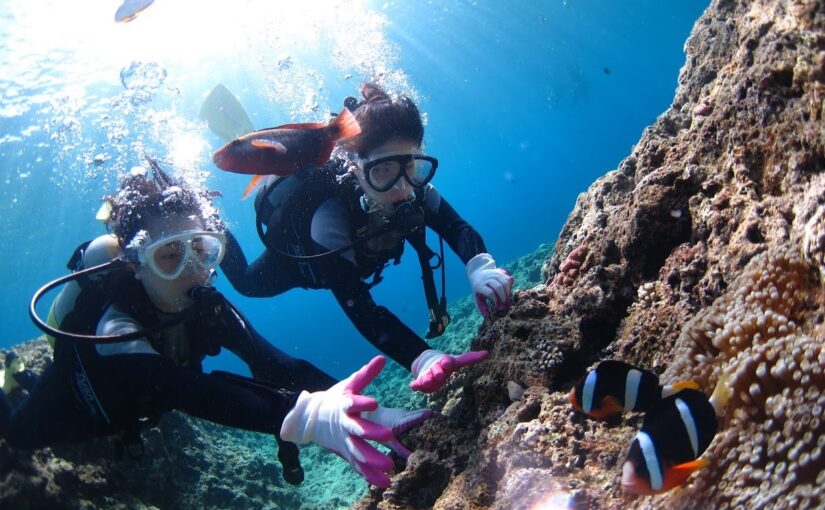 水納島　瀬底島　ダイビング