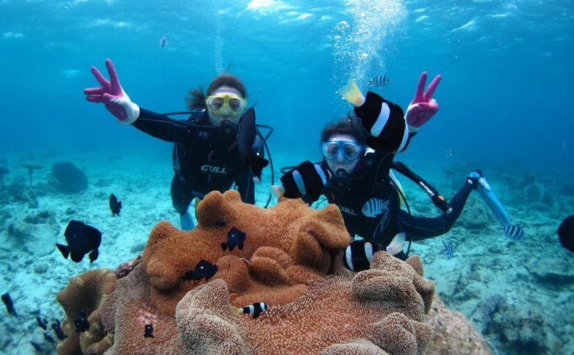 水納島　瀬底島　ダイビング