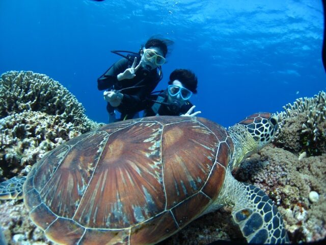 水納島 瀬底島 ダイビング
