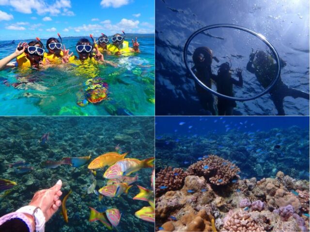 【沖縄本島北部・水納島/半日】冬季限定☆水納島ボートシュノーケリング+プチ上陸ツアー/少人数制だから混まない♪《器材レンタル＆写真データ無料》（No.644）