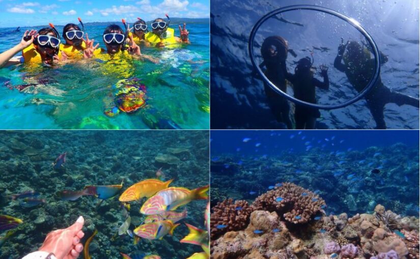 【沖縄本島北部・水納島/半日】冬季限定☆水納島ボートシュノーケリング+プチ上陸ツアー/少人数制だから混まない♪《器材レンタル＆写真データ無料》（No.644）