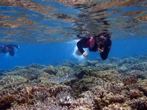 【北部発・冬季限定】冬の海の透明度に感動！水納島ボートシュノーケリング半日コース《水納島プチ陸上＆写真サービス付》