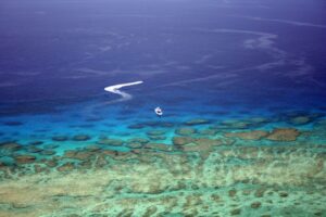 【北部発・冬季限定】冬の海の透明度に感動！水納島ボートシュノーケリング半日コース《水納島プチ陸上＆写真サービス付》