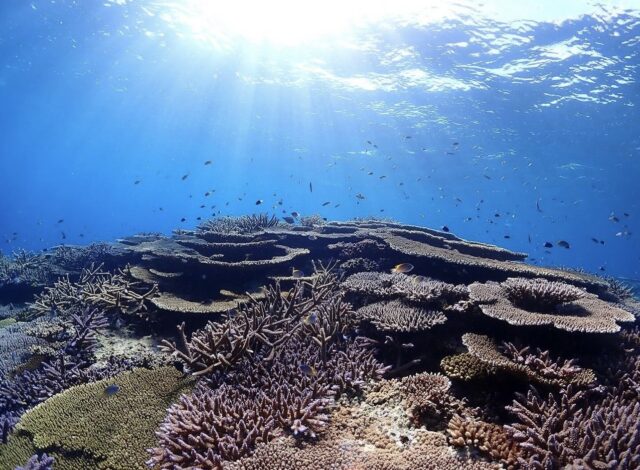 沖縄本島から約15分で行ける「水納島」とは？フェリーでの行き方やツアーを徹底解説！