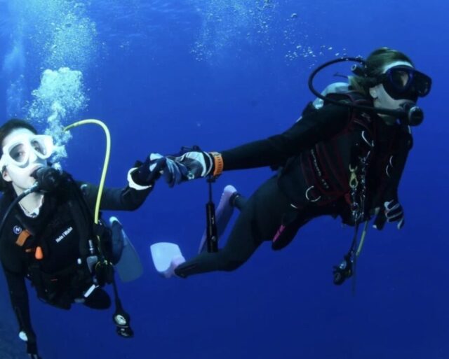 ダイビング　初心者
