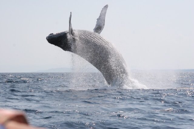 水納島の天気・気温・水温・持ち物を知っておこう！