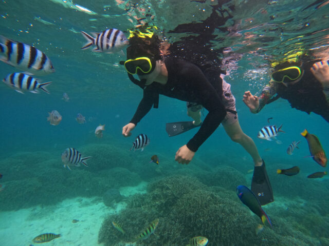 沖縄 瀬底島 シュノーケル