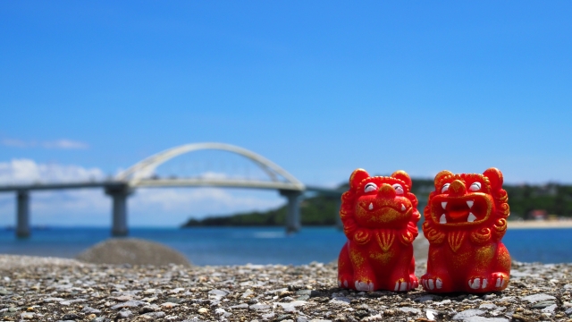初心者でも安心！瀬底島のおすすめ＆人気体験ダイビングツアー完全ガイド