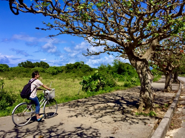 伊江島　レンタサイクル